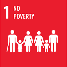 SDG #1 No Poverty