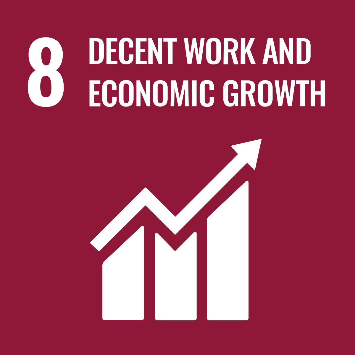 SDG #8 Decent Work and Economic Growth